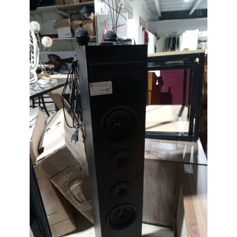 Enceinte karaoke Auna avec 2 micros, télécommande, Bluetooth-usb-carte SD-CD 